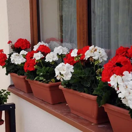 Lägenhet Arany Szolo Wellness Apartmanhaz Hévíz