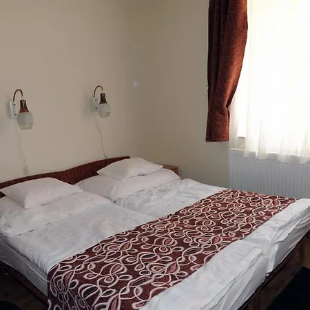 Arany Szőlő Wellness Appartamento