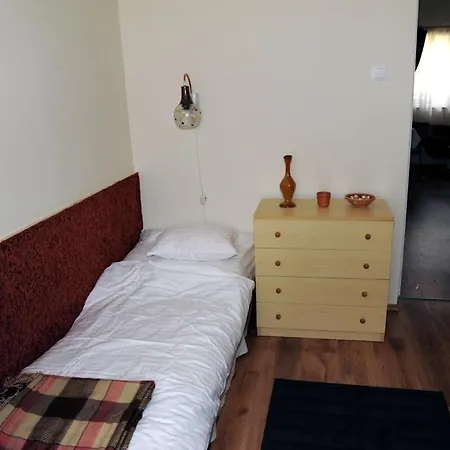 Arany Szőlő Wellness Apartman *