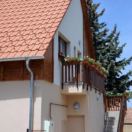 Arany Szőlő Wellness Apartman