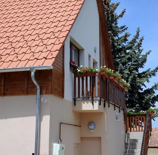 Arany Szolo Wellness Apartmanhaz Apartment